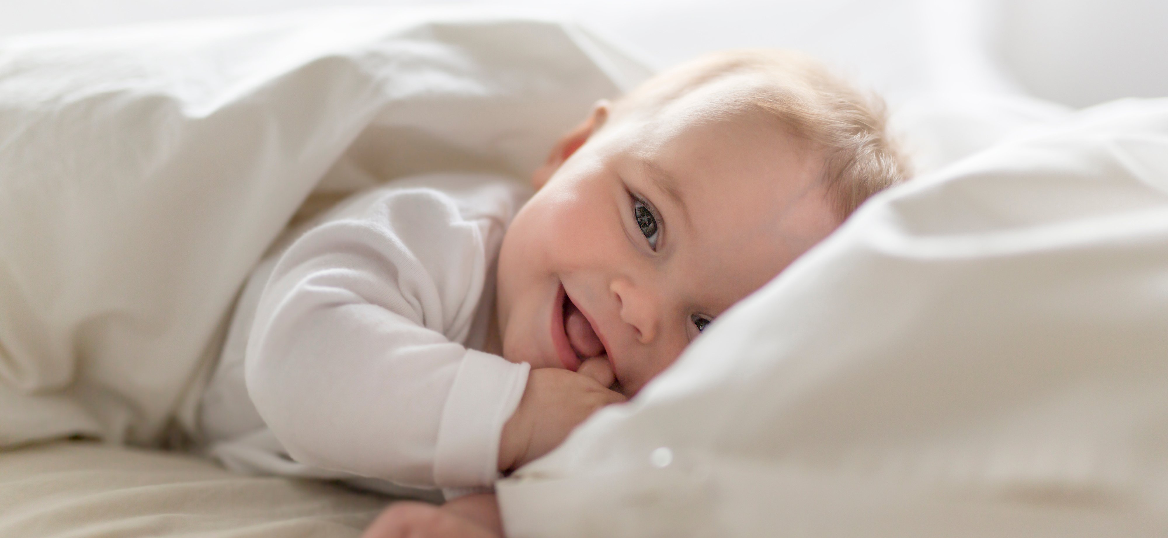 adobestock_169964913_v2