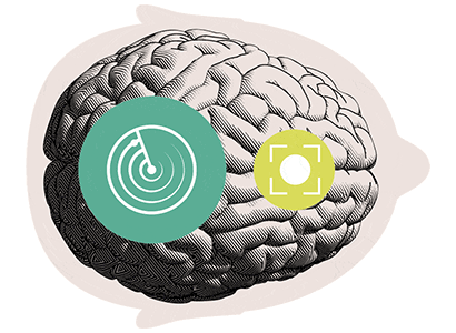 1_b2b-brain_orient_focus