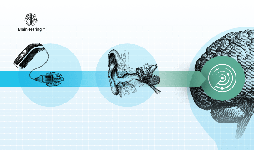 brainhearingbrochure210x28019212x-1