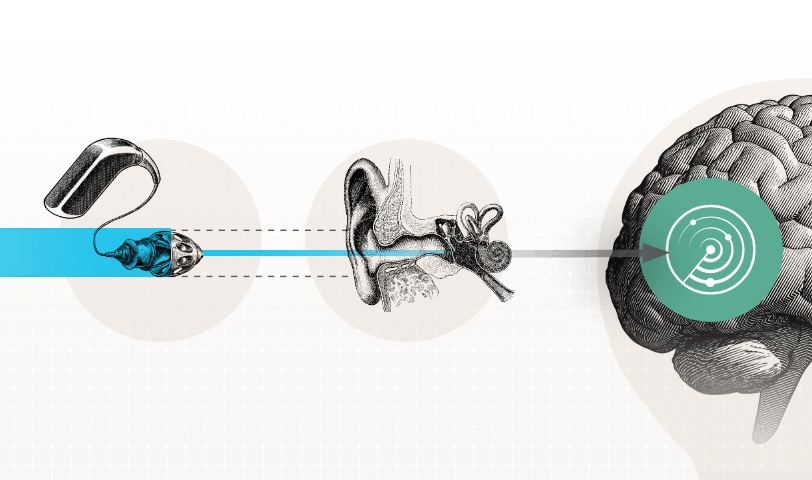brainhearingbrochure210x28019212x